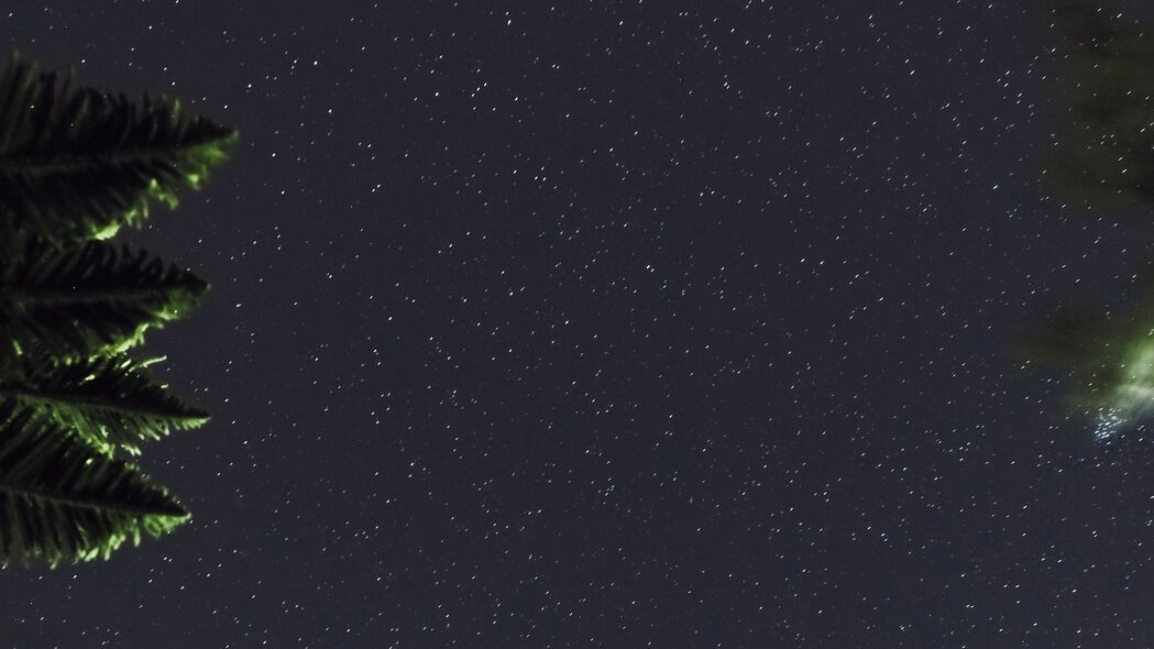 星空树枝树叶夜晚深色4K壁纸，高清3840x2160背景图片下载