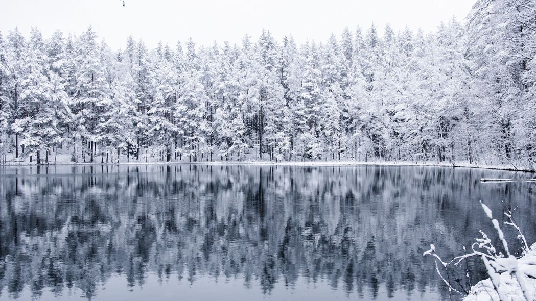 冬日森林湖泊雪景，高清4K反射壁纸，3840x2160超清下载
