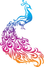 彩色孔雀PNG透明图，高清装饰元素，AI设计素材一键下载