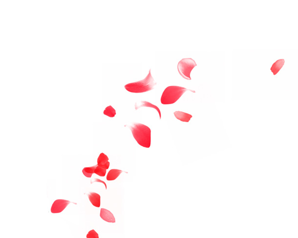 散落的红色花瓣PNG透明图，高清漂浮元素设计素材免费下载