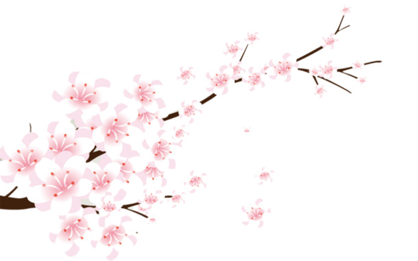 花枝PNG透明素材，高清花瓣漂浮元素，设计下载必备