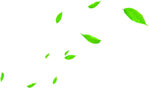 夏日绿色植物高清PNG，飘扬海报树叶透明图片与漂浮叶子设计素材下载