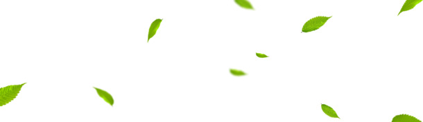 树叶漂浮PNG透明图，高清叶子设计素材，一键下载！