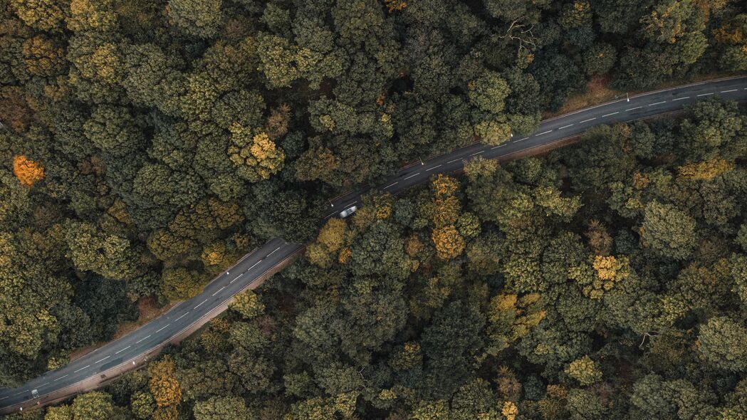 森林鸟瞰图，树梢间的道路与汽车，高清4K壁纸下载（3840x2160）