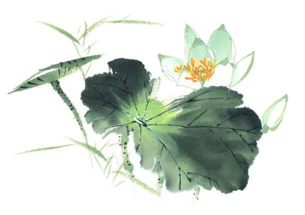 装饰莲花PNG素材，高清透明图片，笔触设计元素，免费下载