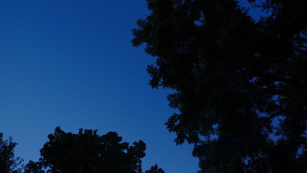 树梢剪影于暗夜苍穹，超清4K夜间天空壁纸，3840x2160高清下载