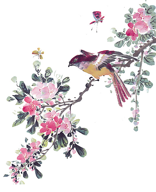 喜鹊高清PNG透明图，情人节节日元素，设计素材一键下载