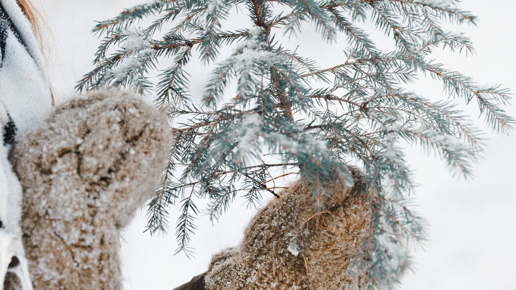 冷杉雪景4K高清壁纸，树枝雪落，手套相伴，3840x2160超清下载