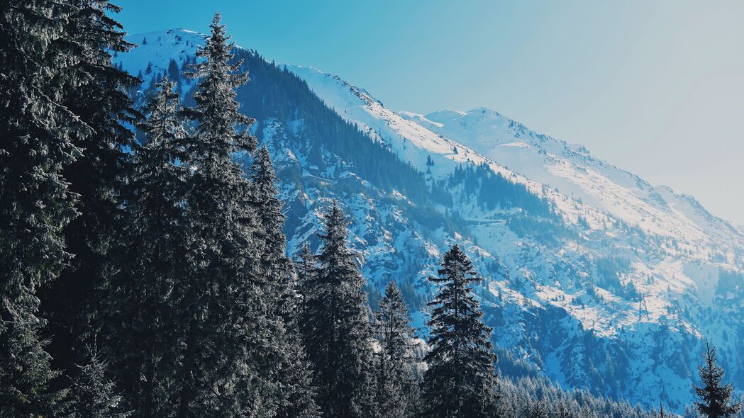 山脉青松斜坡雪景4K超高清壁纸 3840x2160风景图片下载