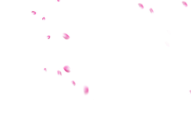 浪美花瓣底纹PNG，高清透明图片，唯美漂浮元素设计素材下载