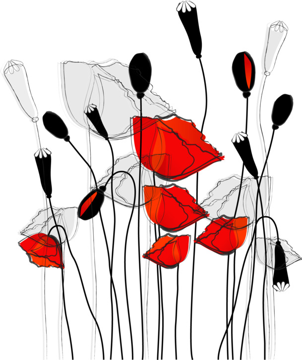 线条罂粟花插画，高清PNG透明图，精美装饰元素花纹设计素材下载