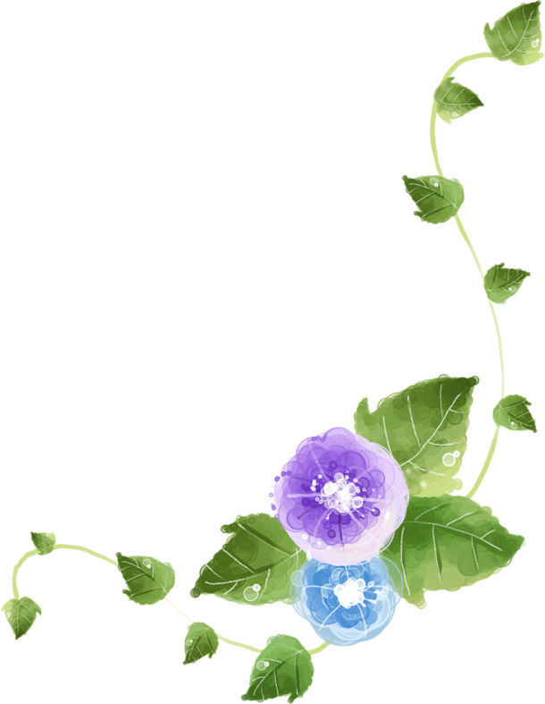 素雅清新花草手绘PNG透明图，高清装饰元素与植物设计素材下载