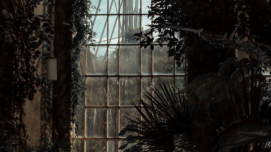 温室之窗，深色植物映衬下的高清4K房间壁纸（3840x2160）免费下载