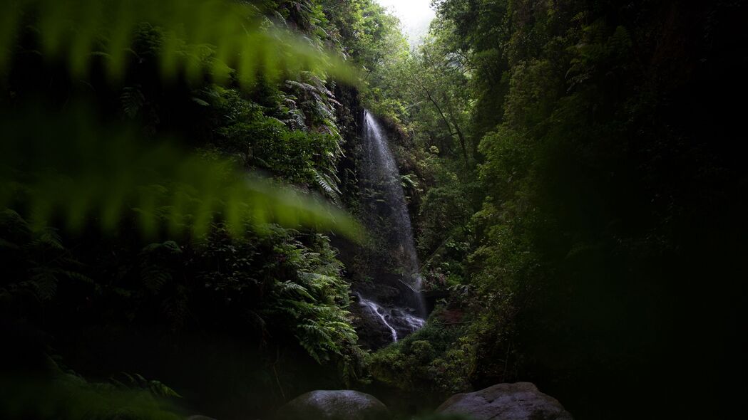 瀑布丛林深邃黑暗，自然植被美景4K壁纸，3840x2160高清背景图片下载