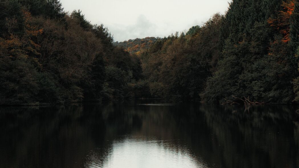 湖岸树影水景，绝美4K壁纸，3840x2160高清下载