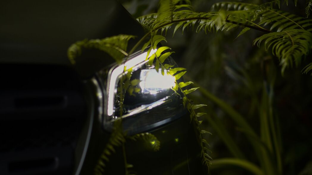 汽车大灯灵感，蕨类植物灯4K高清壁纸，夜间模式，3840x2160超清下载