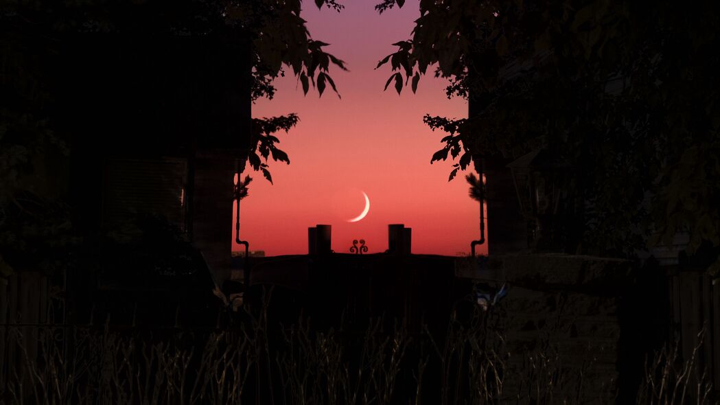 高清4K壁纸，黄昏天空下的黑暗树枝，月亮照亮静谧之夜，3840x2160超清下载