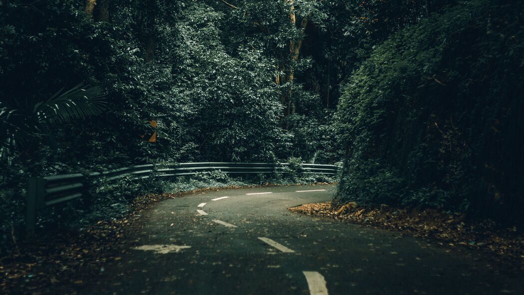 4K高清壁纸，道路转弯，树木森林，自然美景，3840x2160分辨率畅享下载