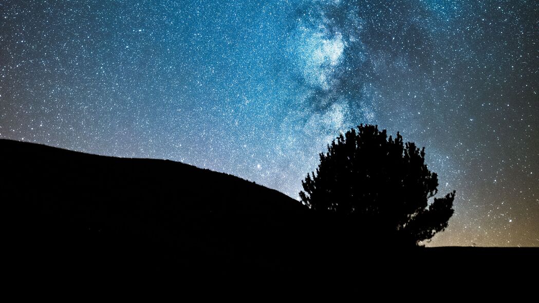 夜之树影，星空下的银河与星星，4K高清壁纸3840x2160下载