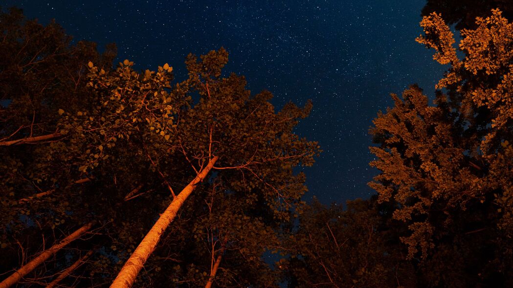 夜晚森林星空皇冠，超清4K壁纸，3840x2160高清背景图片下载