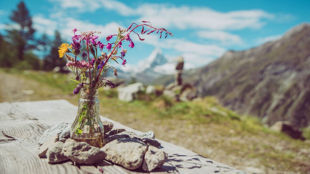 自然之美，花束、花瓶与石头4K高清壁纸，3840x2160超清下载