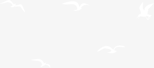 白色漂浮飞鸟PNG透明底纹，高清设计素材免费下载