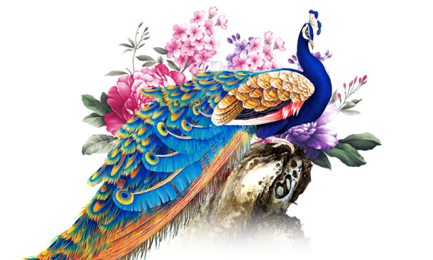 彩绘孔雀PNG透明图，高清装饰元素，PSD设计素材免费下载
