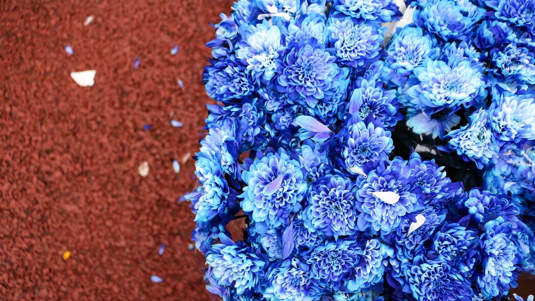 蓝色花瓣绽放花束，绝美4K壁纸，3840x2160高清背景图片免费下载