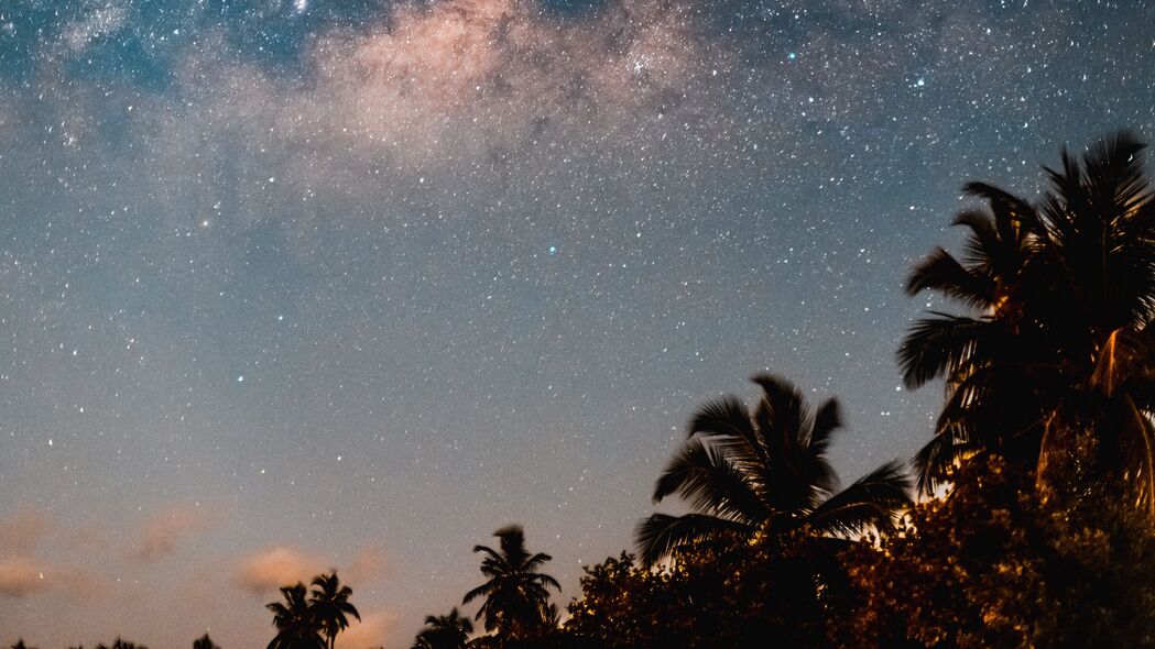 棕榈树星空夜晚，高清4K黑暗树木壁纸，3840x2160超清下载