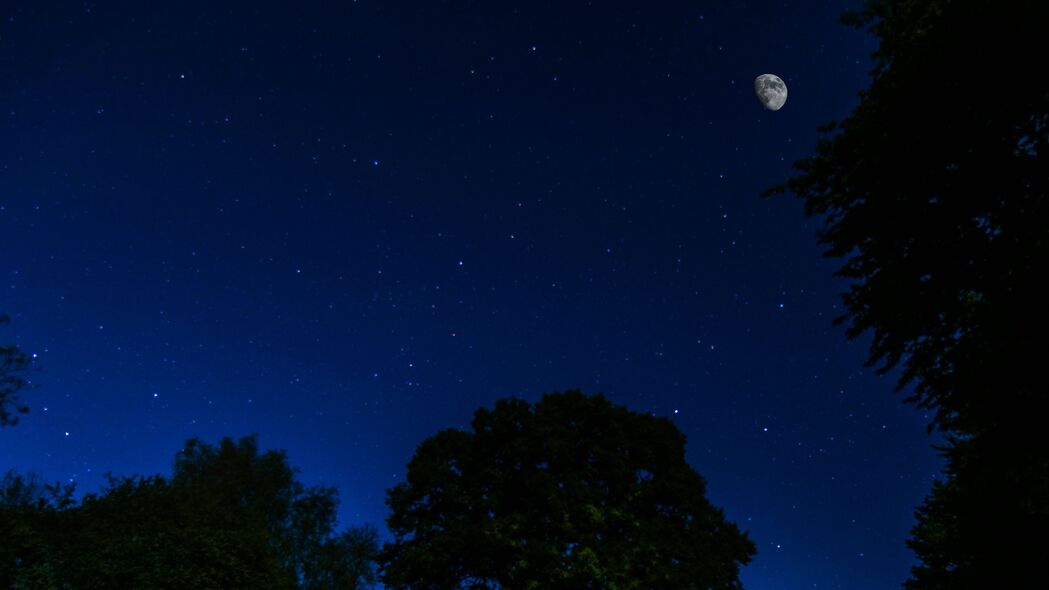 夜之魅力，星光、月影与树影交织的4K高清壁纸（3840x2160）免费下载