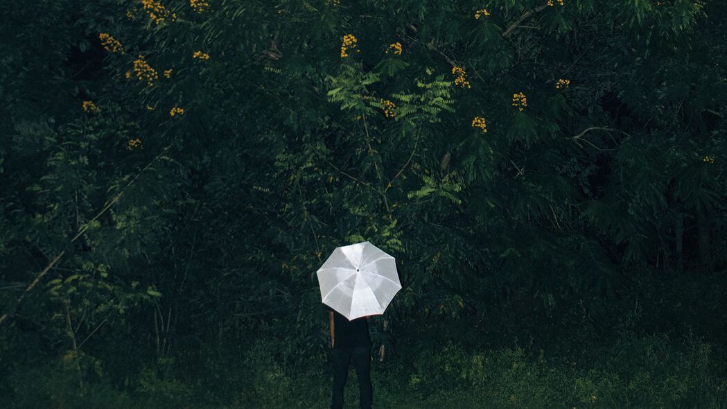 孤独雨中漫步，雨伞下的花草世界，绝美4K壁纸下载（3840x2160高清）