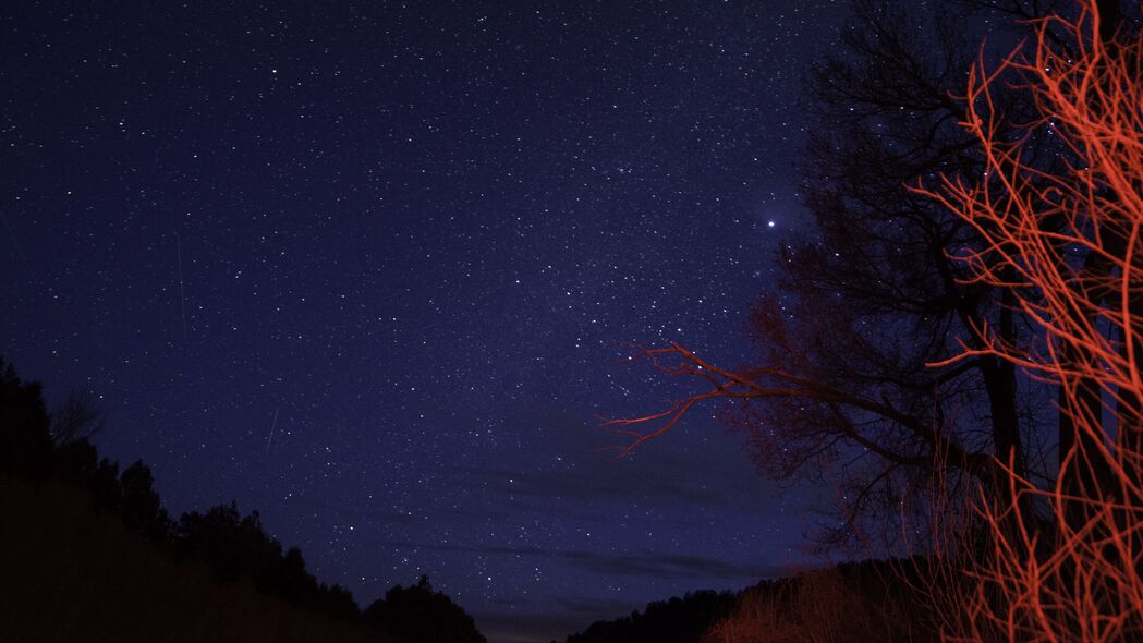 树木映星空，黄昏至夜晚，绝美4K风景壁纸（3840x2160高清下载）