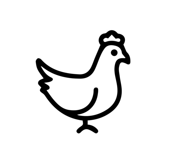 鸡矢量图，高清PNG透明免扣元素，AI设计素材一键下载