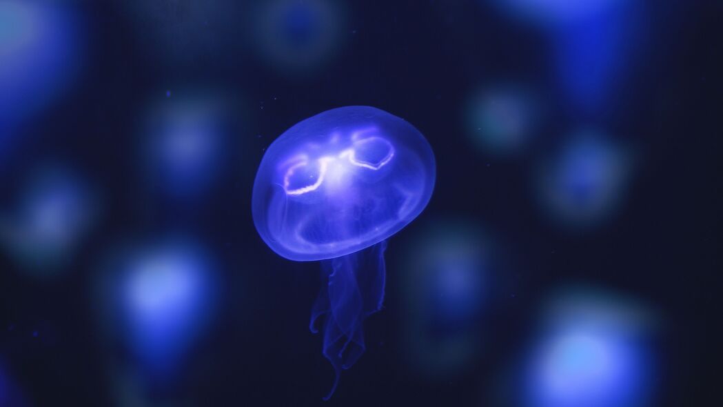 水母霓虹，紫色发光海底世界，4K高清壁纸（3840x2160）免费下载