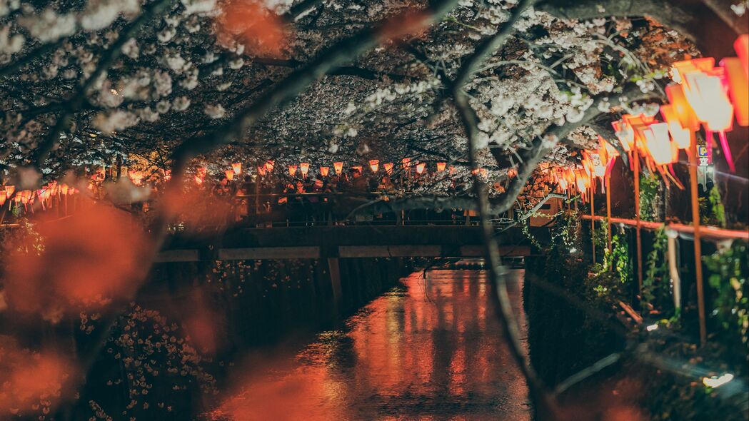 樱花公园堤岸夜景，灯光桥梁映河流，绝美4K高清壁纸3840x2160下载