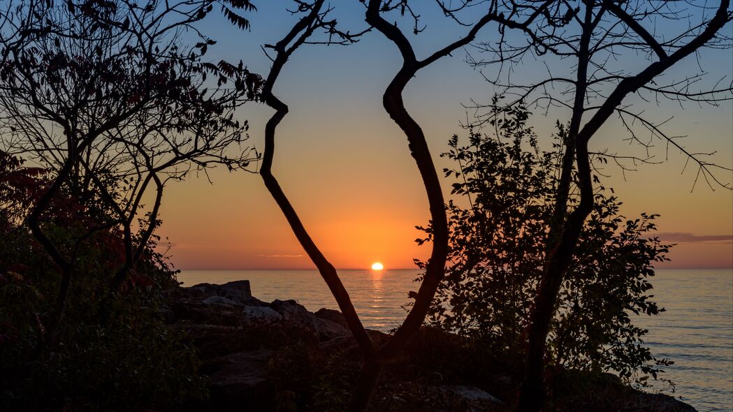 4K高清壁纸，大海日落，树枝剪影映夕阳，地平线美景尽收眼底，3840x2160分辨率任你下载