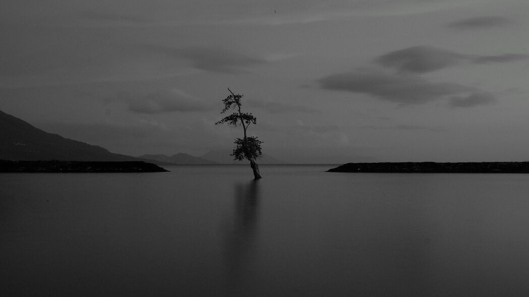孤独湖畔，暗树剪影，阴郁黑白世界4K超清壁纸 —— 3840x2160高清背景图片，免费下载