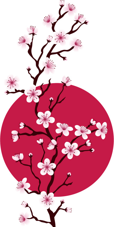 矢量日式樱花PNG素材，高清透明图片，植物设计元素，免费下载