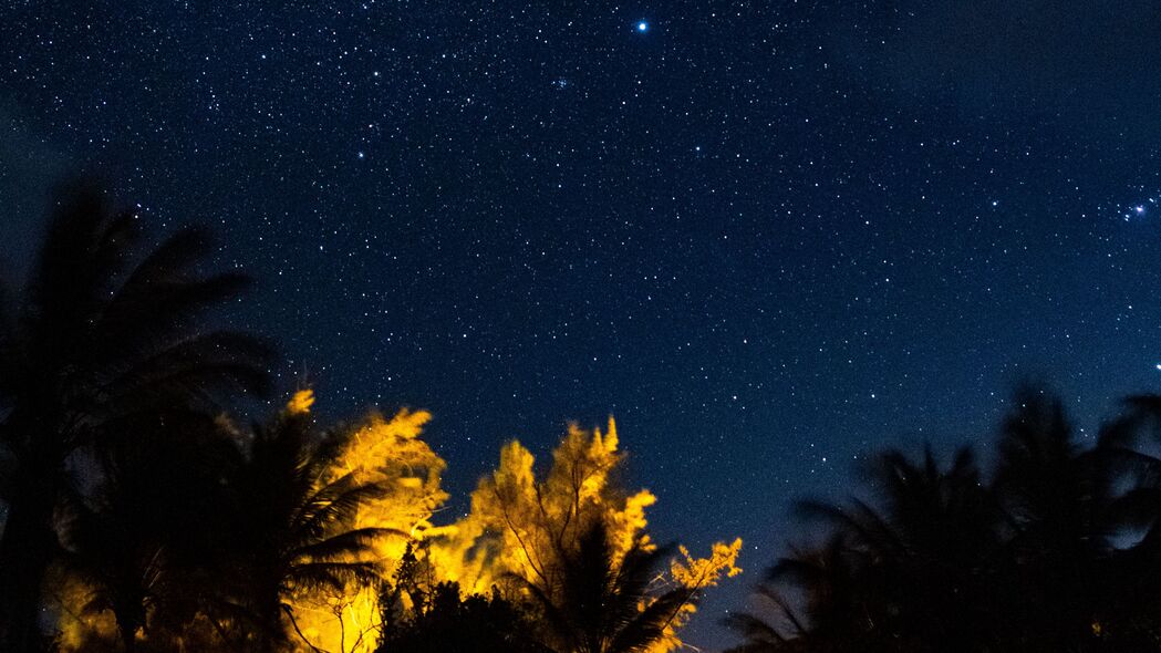 棵树星空，深色夜晚，璀璨星星，4K高清壁纸3840x2160免费下载