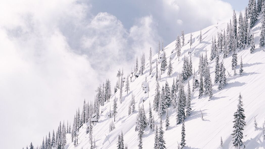 斜坡雪景山林风光，高清4K壁纸，3840x2160超清画质，冬日树木披雪美景