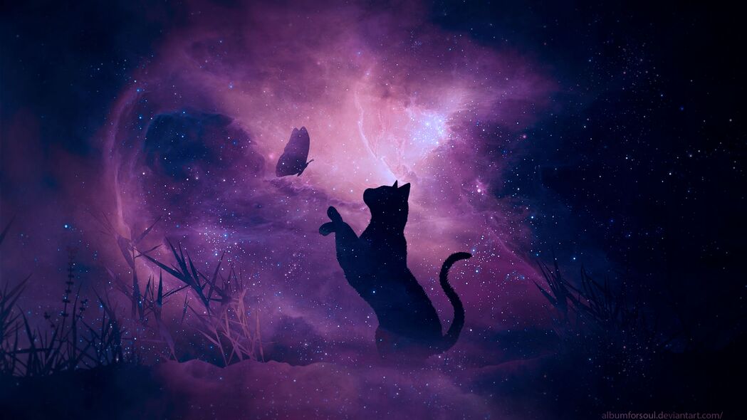 猫与剪影共舞，蝴蝶穿越星空银河系，闪耀星星4K壁纸，3840x2160高清背景图片下载