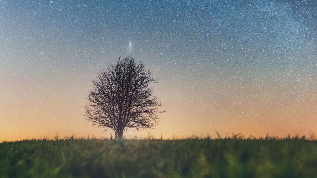树与星空，3840x2160高清4K草地地平线风景壁纸下载