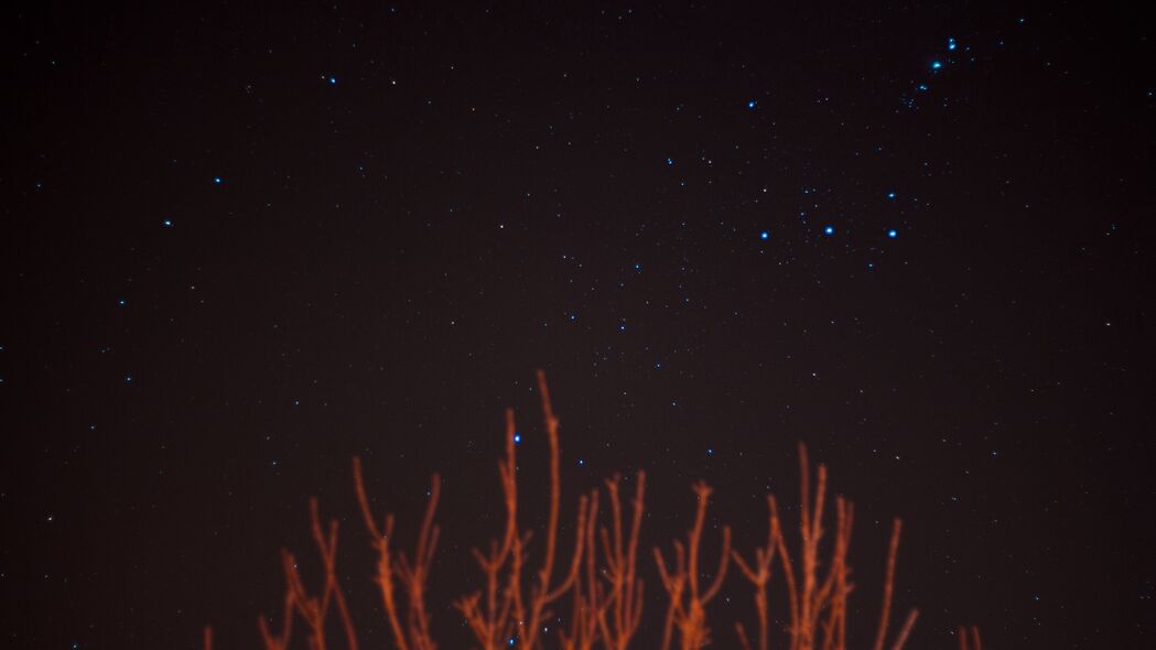 星空之美，高清4K树枝星星夜晚壁纸，3840x2160分辨率，绝美夜空风景图片下载