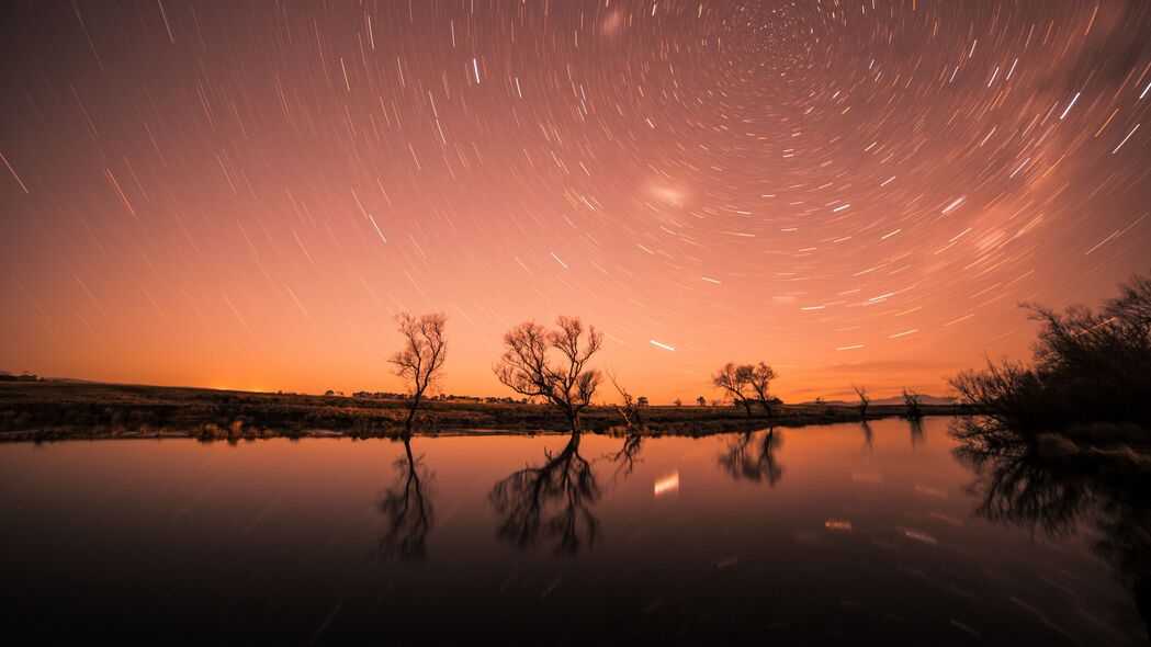 星空闪耀，高清4K夜晚树影壁纸，3840x2160风景美图下载