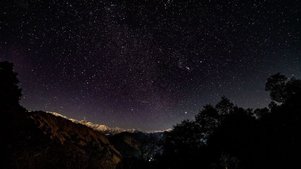 星空璀璨闪耀，夜晚树木间4K高清壁纸，3840x2160超清下载