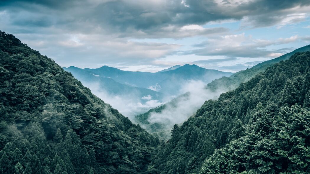 山脉雾景鸟瞰，树木环绕的4K高清壁纸，3840x2160超清下载