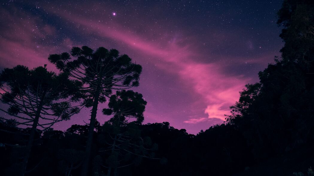 星空之夜，树木掩映下的星光与灯光交织，4K超清壁纸3840x2160免费下载
