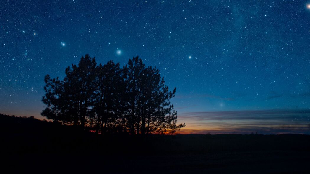 星空夜景，树木掩映下的璀璨星辰，高清4K壁纸（3840x2160）免费下载