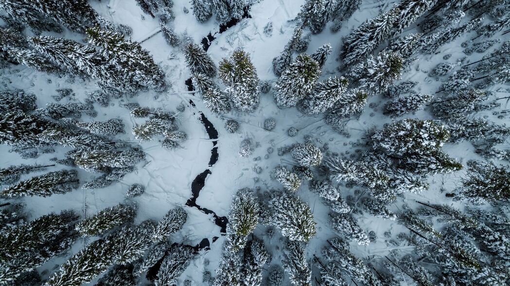 棵树冬景鸟瞰，雪缝间的4K高清壁纸，3840x2160超清下载