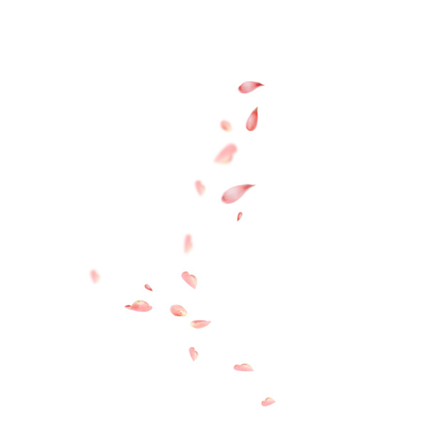 粉色花瓣漂浮插画，高清PNG透明图片，创意花瓣设计素材下载